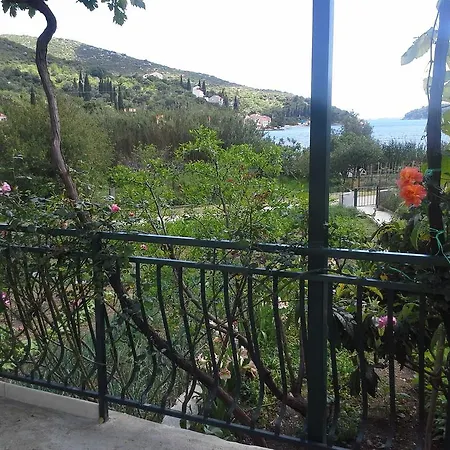 Dom wakacyjny Garden *