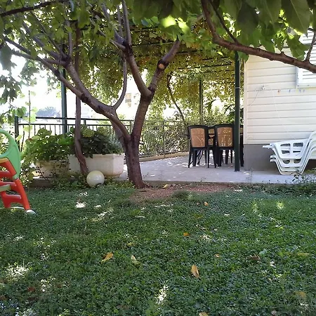 Garden *