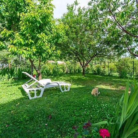 Garden Holiday home