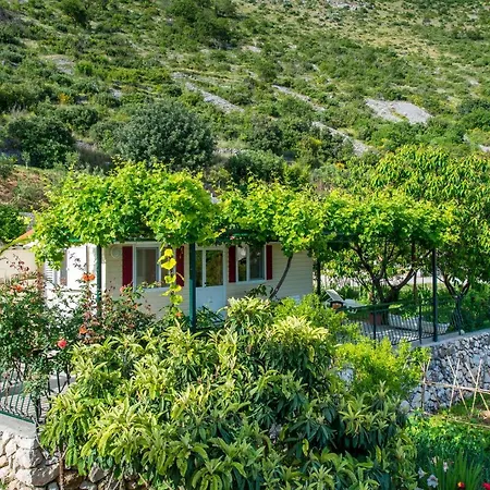 Holiday home Garden