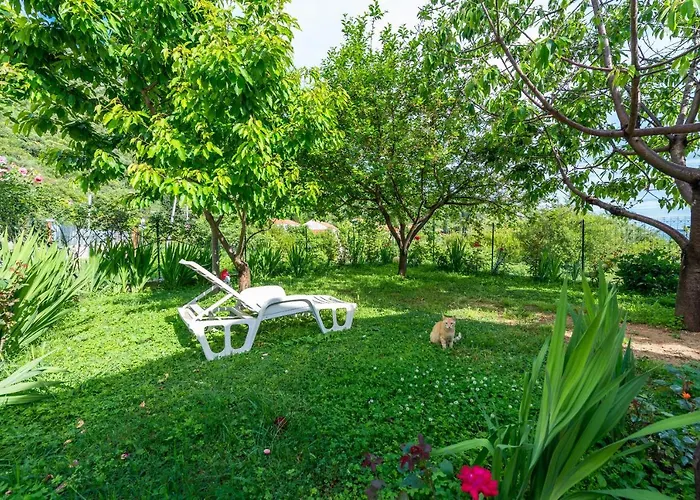 Garden Casa vacanze